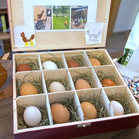 - Premium Mountain&garden アパートホテル マイヤーホーフェン