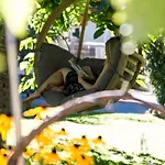 - Premium Mountain&garden Aparthotel Mayrhofen